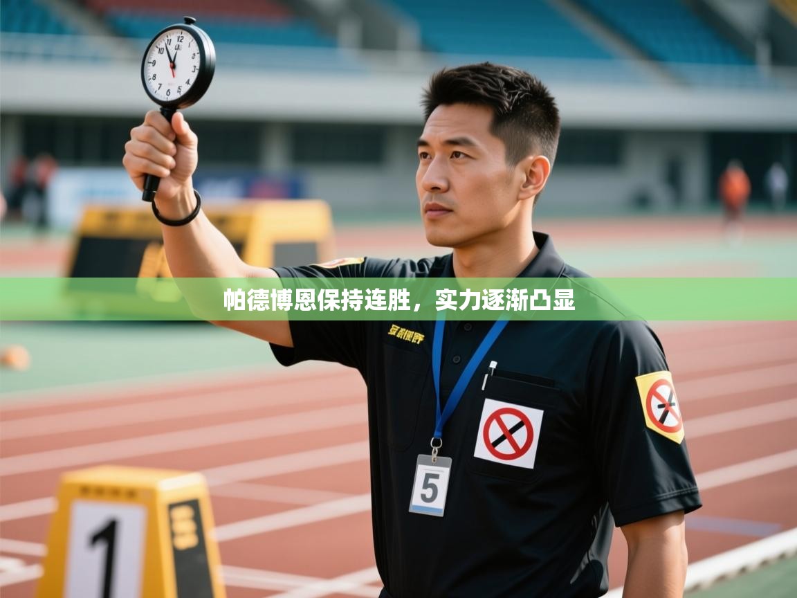 帕德博恩保持连胜，实力逐渐凸显  第1张